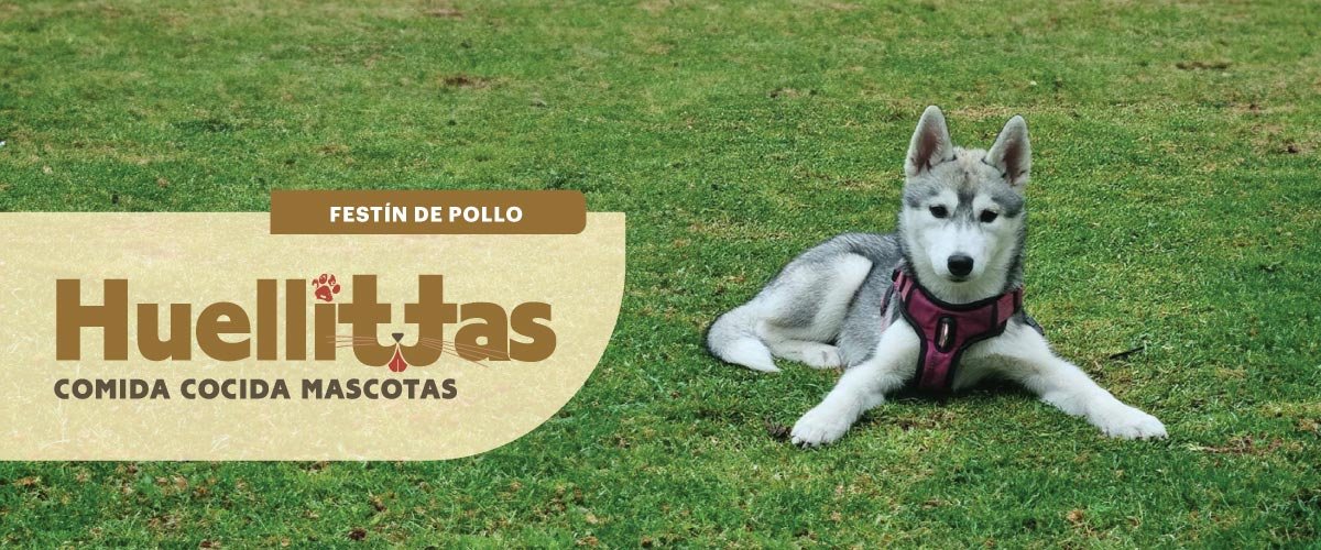 Mutt Festín de Pollo