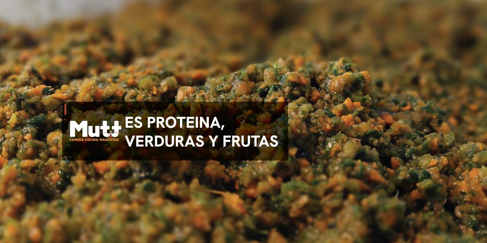 Proteina